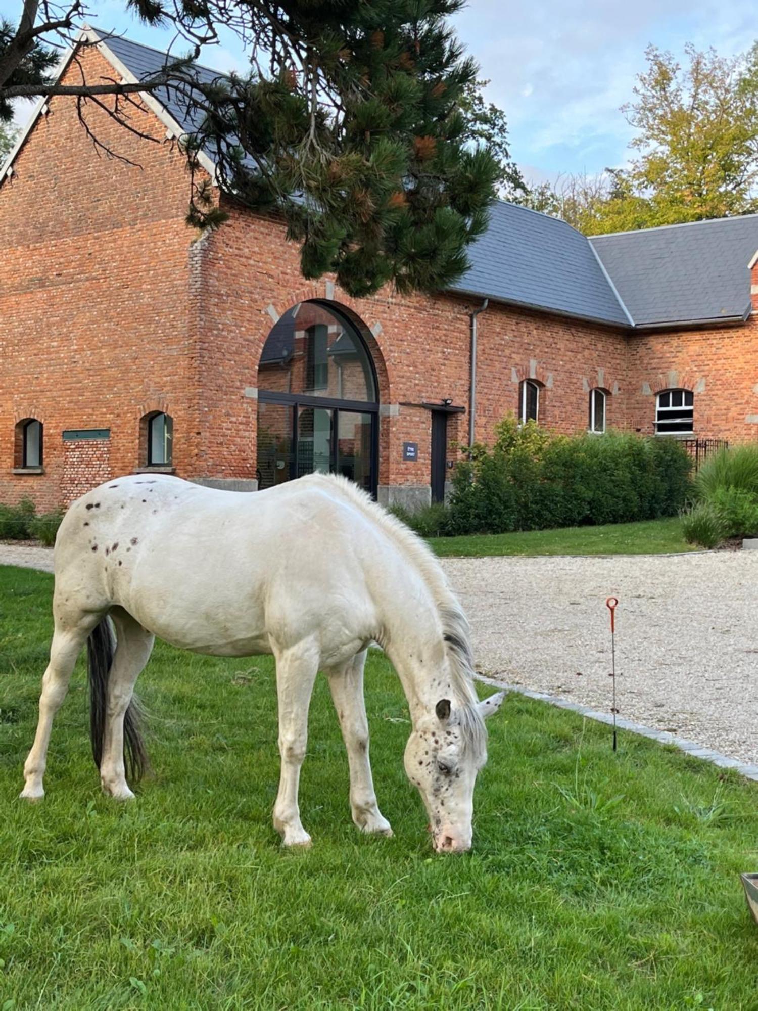 Aux Bois Dores De La Ferme De Sorval, Animaux De La Ferme, Fitness Selvigny Exterior photo